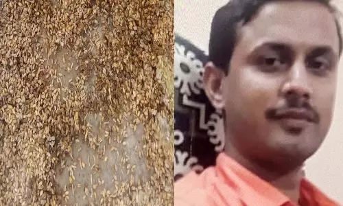 गेहूं को मिट्टी में ढककर लापरवाही बरतने के आरोप में हॉस्टल वार्डन निलंबित गेहूं को मिट्टी में ढककर लापरवाही बरतने के आरोप में हॉस्टल वार्डन निलंबित