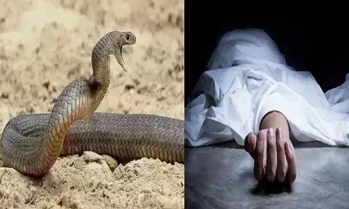 Farrukhabad: सर्पदंश से हुई युवक की मृत्यु, गांव में शोक की लहर Farrukhabad: सर्पदंश से हुई युवक की मृत्यु, गांव में शोक की लहर