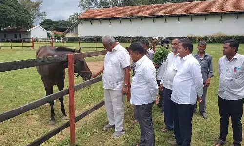 बेंगलुरु रेसकोर्स को कुनिगल में स्थानांतरित किया जाएगा? बेंगलुरु रेसकोर्स को कुनिगल में स्थानांतरित किया जाएगा?