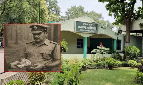 भ्रष्ट्र वन विभाग DFO की काली करतूत, छत्तीसगढ़ के मूल निवासी को नौकरी से कर रहे वंचित