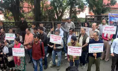 आवारा कुत्तों का आतंक, Shimla के स्थानीय लोगों ने ठोस कार्रवाई की मांग की आवारा कुत्तों का आतंक, Shimla के स्थानीय लोगों ने ठोस कार्रवाई की मांग की