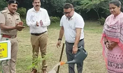 Sonipat: हरियाली बढ़ाने को उपायुक्त ने कदम उठाया Sonipat: हरियाली बढ़ाने को उपायुक्त ने कदम उठाया