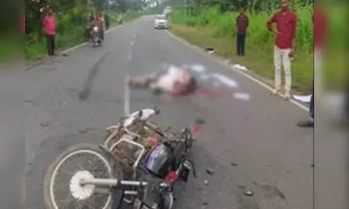 सड़क हादसा: ट्रक की टक्कर से बाइक सवार ससुर-दामाद की मौत