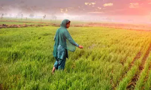 Amritsar: विशेषज्ञों ने किसानों को खड़ी फसलों पर अत्यधिक छिड़काव से बचने का सुझाव दिया Amritsar: विशेषज्ञों ने किसानों को खड़ी फसलों पर अत्यधिक छिड़काव से बचने का सुझाव दिया