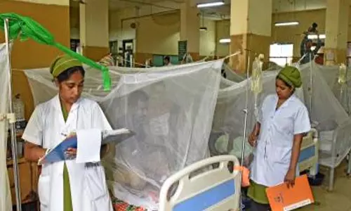 बांग्लादेश: डेंगू से छह ने गंवाई जान, 2025 में मृतकों की संख्या बढ़कर हुई 167