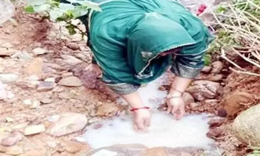 Kangra: दुधला पहाड़ी पर निकला दूधनुमा पदार्थ Kangra: दुधला पहाड़ी पर निकला दूधनुमा पदार्थ