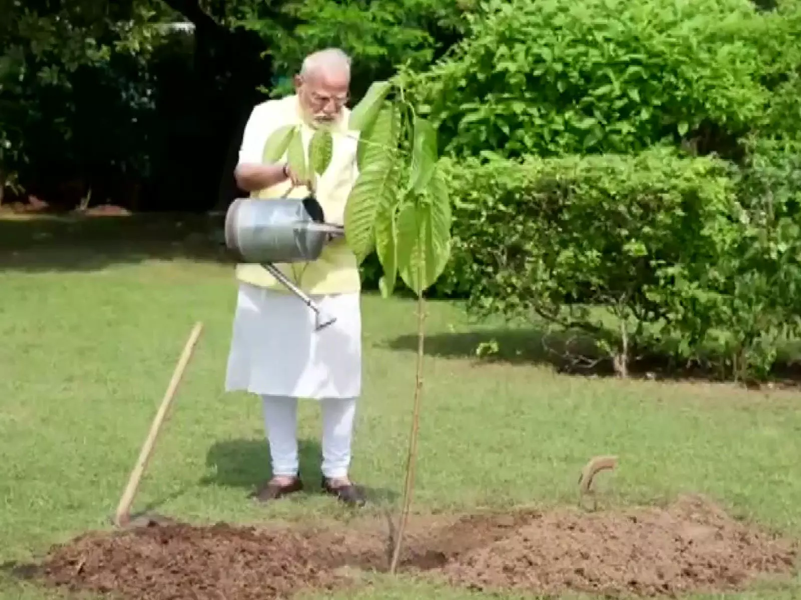 PM मोदी ने अपने जन्मदिन पर राजा चार्ल्स द्वारा उपहार में दिया गया कदंब का पौधा लगाया PM मोदी ने अपने जन्मदिन पर राजा चार्ल्स द्वारा उपहार में दिया गया कदंब का पौधा लगाया