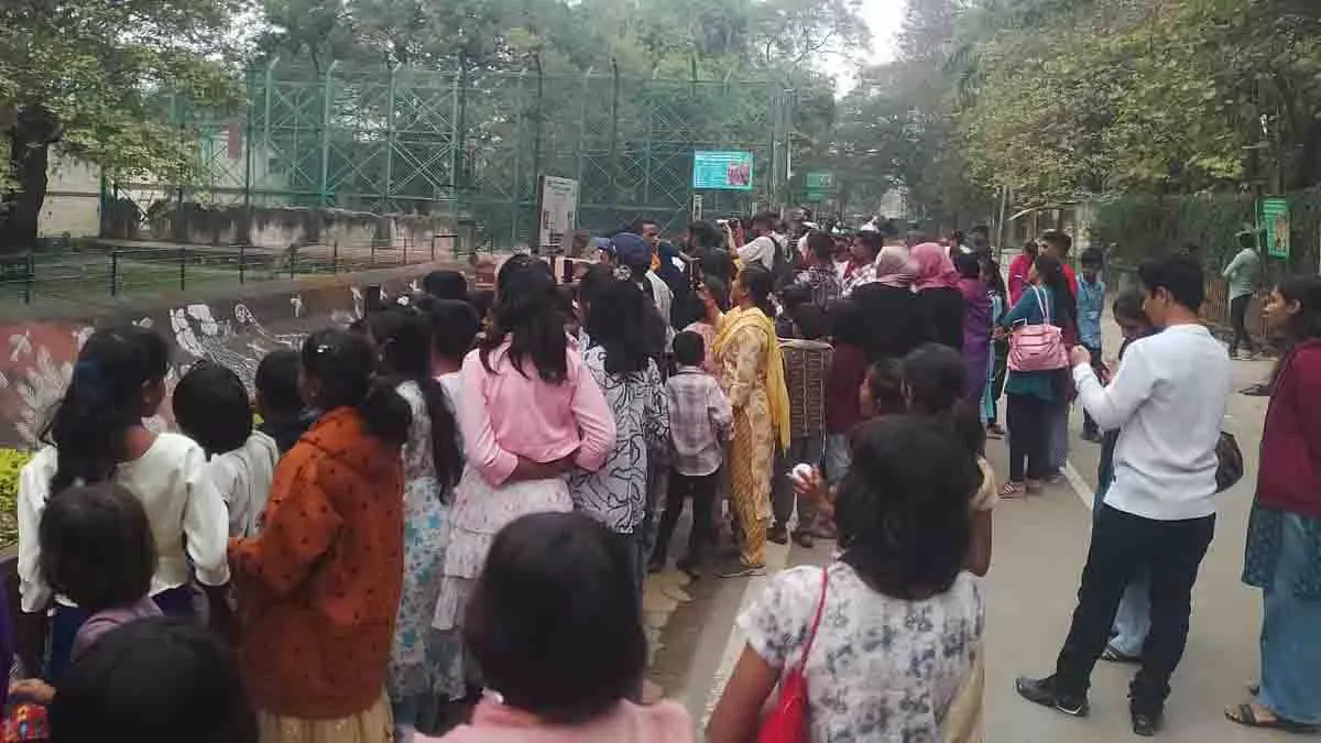 शिवमोग्गा से शेर, भालू और लोमड़ियां सिद्धार्थ गार्डन भेजे जाएंगे शिवमोग्गा से शेर, भालू और लोमड़ियां सिद्धार्थ गार्डन भेजे जाएंगे