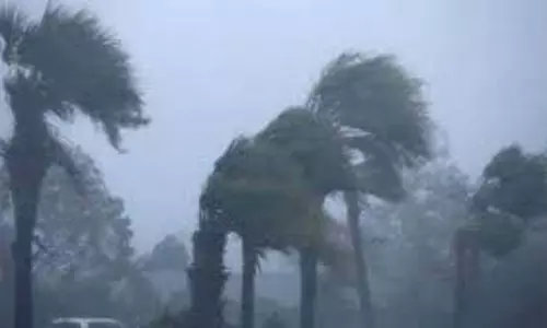 तूफान आने का अलर्ट, IMD ने नया मौसमी सिस्टम बनने की जानकारी दी