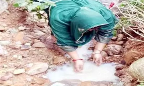 Kangra:  दुधला पहाड़ी पर निकला दूधनुमा पदार्थ