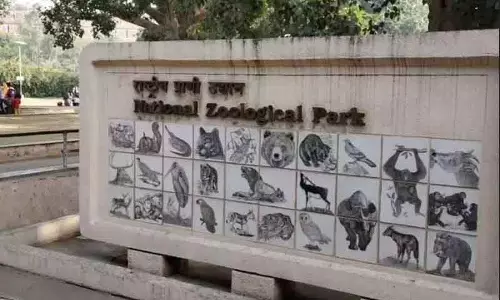 13 साल एकांत में रहने के बाद हाथी शंकर की दिल्ली चिड़ियाघर में मौत