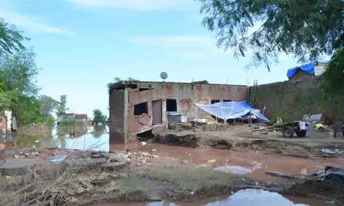 Punjab में बाढ़ का पानी खेतों से उतरने के बाद किसानों को नुकसान का खतरा