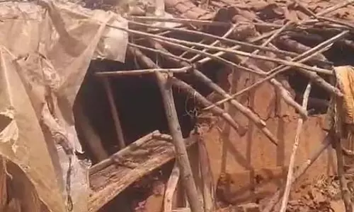 जंगली हाथी ने बुजुर्ग महिला को कुचला, मौत