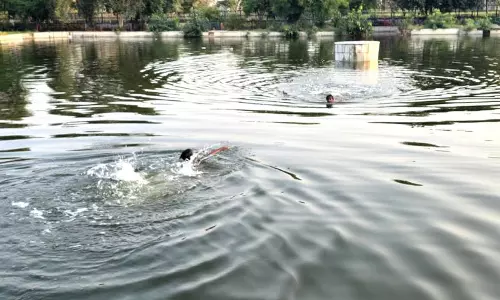 Haryana :  झज्जर का बुआ का तालाब 390 साल पुरानी प्रेम कहानी बयां करता है