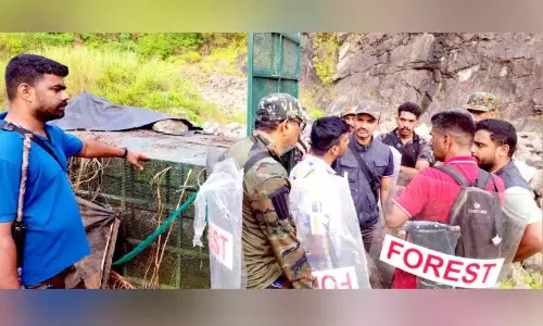 बाघ को दवा देने का आदेश; मन्नारमलई में मिशन टीम