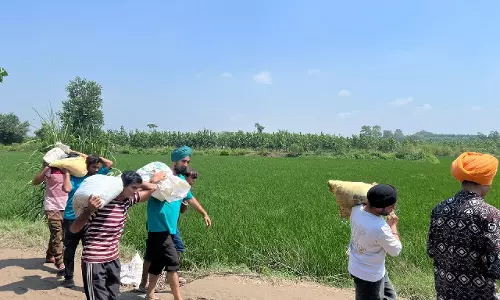 Punjab में बाढ़ राहत: युवा सेवा भावना से कर रहे हैं पुनर्निर्माण
