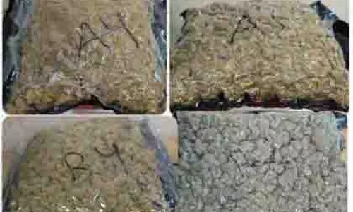 CSMI एयरपोर्ट पर ड्रग्स तस्करी का खुलासा, 5 गिरफ्तार