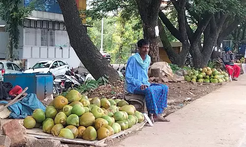 नारियल पानी 70 रुपये पर: बिक्री में गिरावट