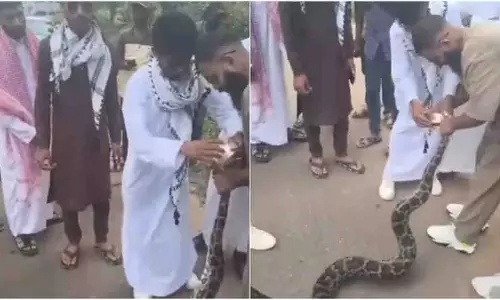 Karnataka: शिवमोग्गा में अजगरों और कोबरा को प्रताड़ित कर वीडियो बनाया गया