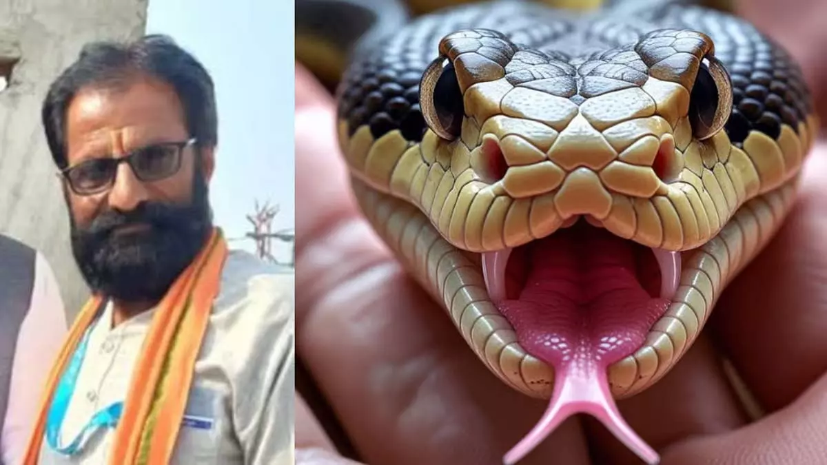 Indore : फल तोड़ते समय सर्पदंश से पूर्व सरपंच की मौत Indore : फल तोड़ते समय सर्पदंश से पूर्व सरपंच की मौत