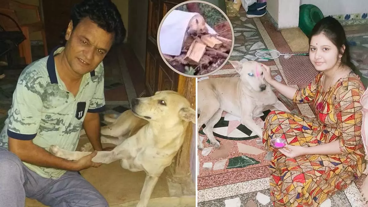 MP : ग्रामीणों ने अपने प्यारे कुत्ते का पूरे रीति-रिवाज से अंतिम संस्कार किया MP : ग्रामीणों ने अपने प्यारे कुत्ते का पूरे रीति-रिवाज से अंतिम संस्कार किया