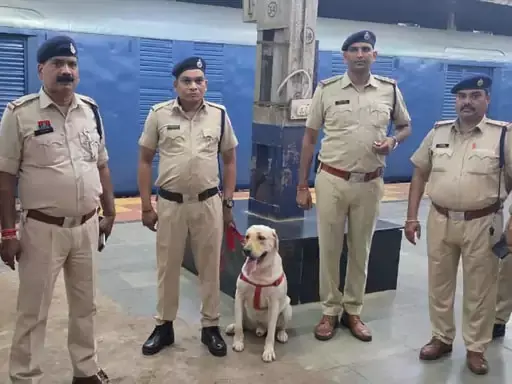 आधी रात रायपुर रेलवे स्टेशन में मच गया था हड़कंप, जानिए क्यों? आधी रात रायपुर रेलवे स्टेशन में मच गया था हड़कंप, जानिए क्यों?