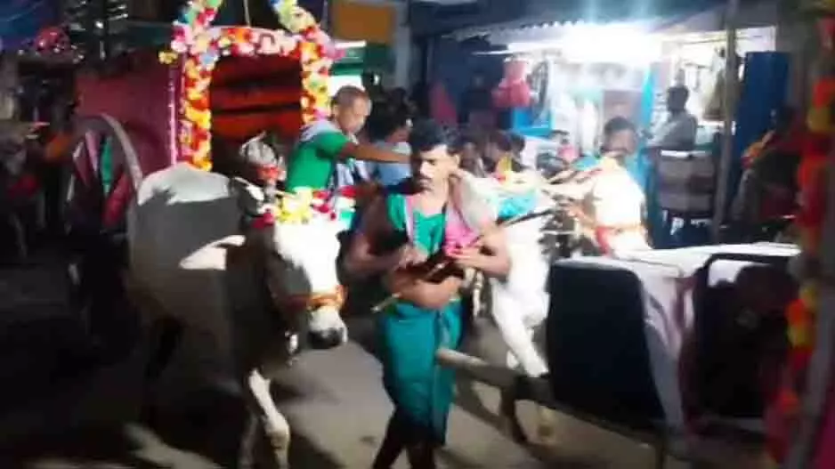 Puri: बैलगाड़ी से गणेश विसर्जन, परंपरा की वापसी Puri: बैलगाड़ी से गणेश विसर्जन, परंपरा की वापसी
