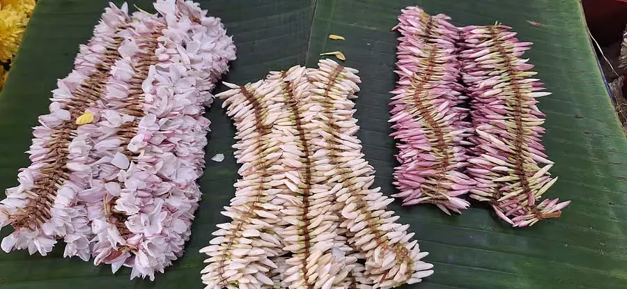 उडुपी चमेली के फूल की कीमतें आसमान छू रही हैं: ₹600 प्रति गेंद उडुपी चमेली के फूल की कीमतें आसमान छू रही हैं: ₹600 प्रति गेंद