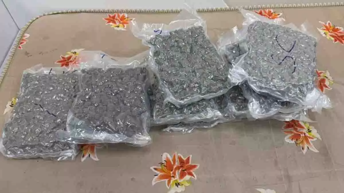 Hyderabad: एयरपोर्ट पर 12 करोड़ की ड्रग्स जब्त, महिला गिरफ्तार Hyderabad: एयरपोर्ट पर 12 करोड़ की ड्रग्स जब्त, महिला गिरफ्तार