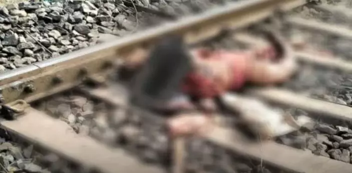 ट्रेन से कटकर महिला की मौत, 4 घंटे तक पटरी में पड़ी रही लाश ट्रेन से कटकर महिला की मौत, 4 घंटे तक पटरी में पड़ी रही लाश
