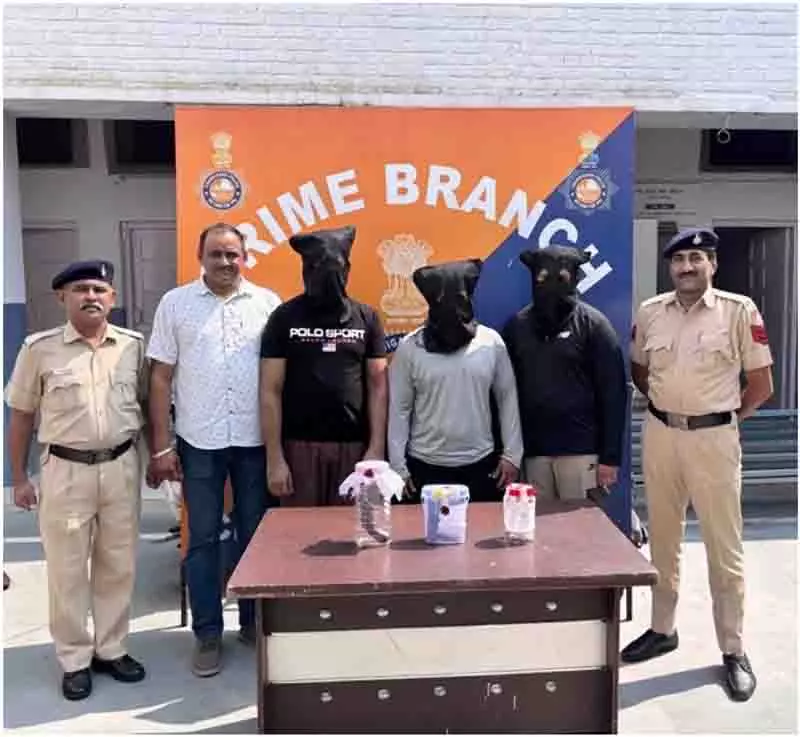 Chandigarh: अवैध हथियार और कारतूस के साथ 3 गिरफ्तार Chandigarh: अवैध हथियार और कारतूस के साथ 3 गिरफ्तार
