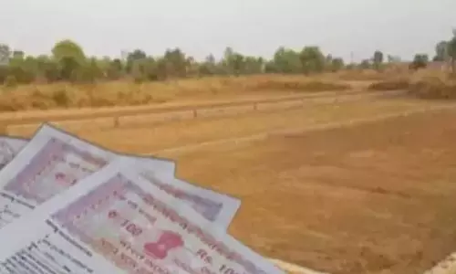 रायपुर : जमीन खरीदी-बिक्री पर लगी रोक हटाई गई