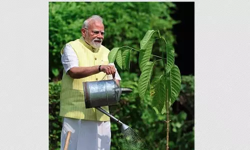 PM Modi ने उपहार में मिला एक पेड़ लगाया