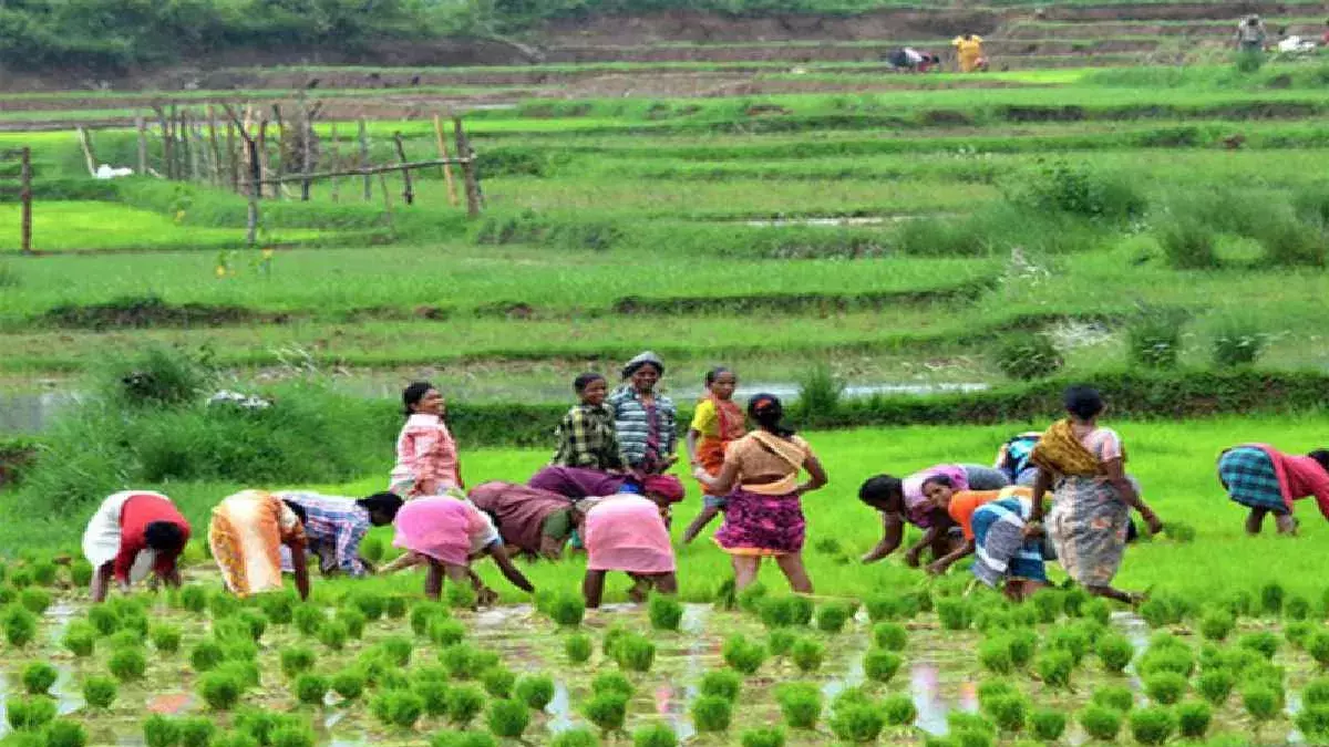 Mandi: दो दिवसीय शिविर में दी गई प्राकृतिक खेती की जानकारी