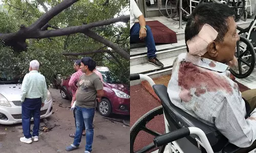 पुणे RTO में पेड़ गिरने से 75 वर्षीय वृद्ध घायल, वाहन क्षतिग्रस्त