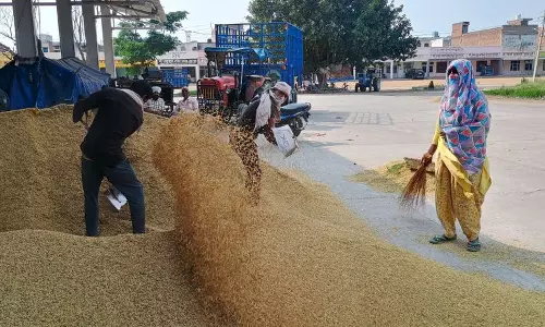 चावल मिल मालिकों ने  Haryana की नई सीएमआर नीति का विरोध किया, संशोधन की मांग की
