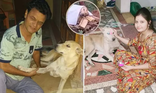 MP : ग्रामीणों ने अपने प्यारे कुत्ते का पूरे रीति-रिवाज से अंतिम संस्कार किया