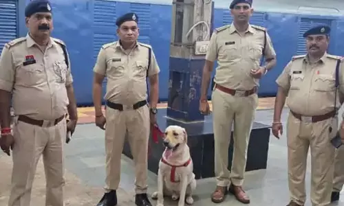आधी रात रायपुर रेलवे स्टेशन में मच गया था हड़कंप, जानिए क्यों? आधी रात रायपुर रेलवे स्टेशन में मच गया था हड़कंप, जानिए क्यों?
