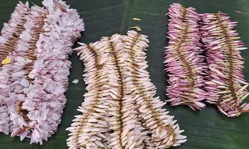 उडुपी चमेली के फूल की कीमतें आसमान छू रही हैं: ₹600 प्रति गेंद उडुपी चमेली के फूल की कीमतें आसमान छू रही हैं: ₹600 प्रति गेंद