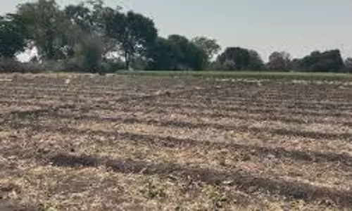Farrukhabad: खेत चोरी का सनसनीखेज मामला, लेखपाल फंसा Farrukhabad: खेत चोरी का सनसनीखेज मामला, लेखपाल फंसा