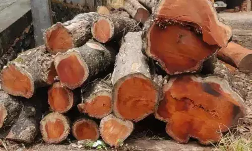 Kerala : चुल्लाकड़ स्कूल परिसर से काटे गए तख्ते नेल्लीकुट मिल में मिले Kerala : चुल्लाकड़ स्कूल परिसर से काटे गए तख्ते नेल्लीकुट मिल में मिले