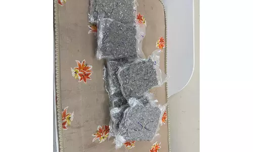 DRI अधिकारियों ने हैदराबाद हवाई अड्डे पर 12 करोड़ रुपये मूल्य की 12 किलोग्राम हाइड्रोपोनिक खरपतवार जब्त की