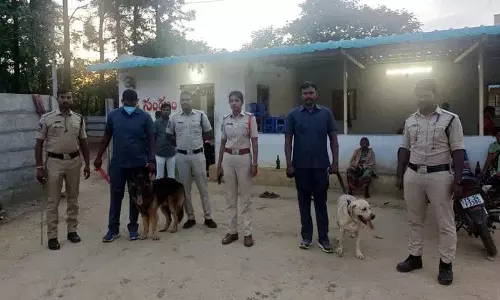 पुलिस ने Raipol में ड्रग्स और मारिजुआना की जांच की पुलिस ने Raipol में ड्रग्स और मारिजुआना की जांच की