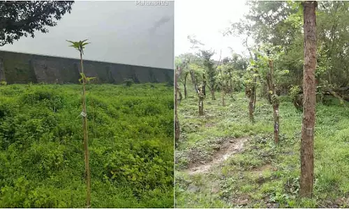 Mumbai: जल संकट से निपटने की पहल, भांडुप संयंत्र की क्षमता में बड़ा इजाफा