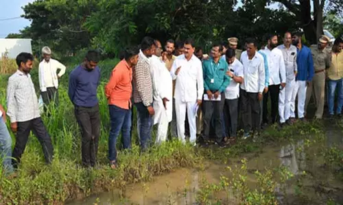 भारी बारिश से नांदेड में फसलों को भारी नुकसान, कृषि मंत्री ने किया दौरा