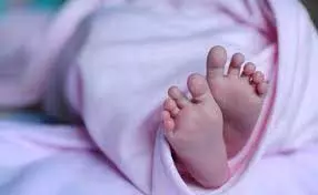 Up News: सीएचसी के शौचालय में बाल्टी में मिला नवजात का शव, जांच में जुटी पुलिस Up News: सीएचसी के शौचालय में बाल्टी में मिला नवजात का शव, जांच में जुटी पुलिस