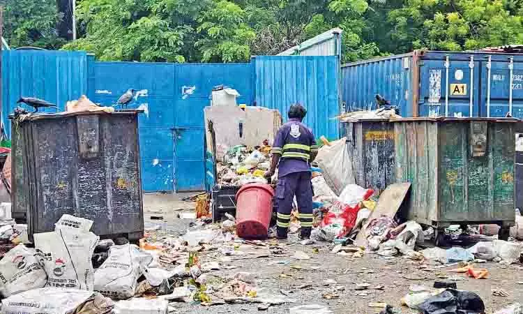 Chennai: कचरा अतिप्रवाह से थानथाई पेरियार नगर के निवासी परेशान Chennai: कचरा अतिप्रवाह से थानथाई पेरियार नगर के निवासी परेशान