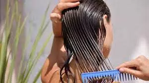 Hair Care : रूखे और टूटने वाले बालों को कहें अलविदा, अपनाएं ये आसान मानसून हेयर टिप्स Hair Care : रूखे और टूटने वाले बालों को कहें अलविदा, अपनाएं ये आसान मानसून हेयर टिप्स