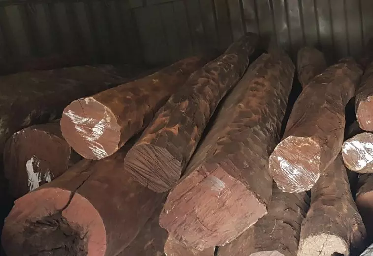 फार्महाउस से 12 करोड़ की लाल चंदन लकड़ी जब्त, पुष्पा नाम के तस्कर की तलाश जारी फार्महाउस से 12 करोड़ की लाल चंदन लकड़ी जब्त, पुष्पा नाम के तस्कर की तलाश जारी
