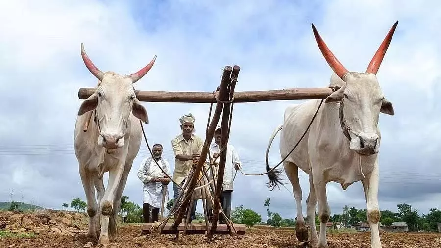 553 करोड़ रुपये का भुगतान 22 सितंबर से शुरू होगा: मंत्री दत्तात्रेय भारणे 553 करोड़ रुपये का भुगतान 22 सितंबर से शुरू होगा: मंत्री दत्तात्रेय भारणे
